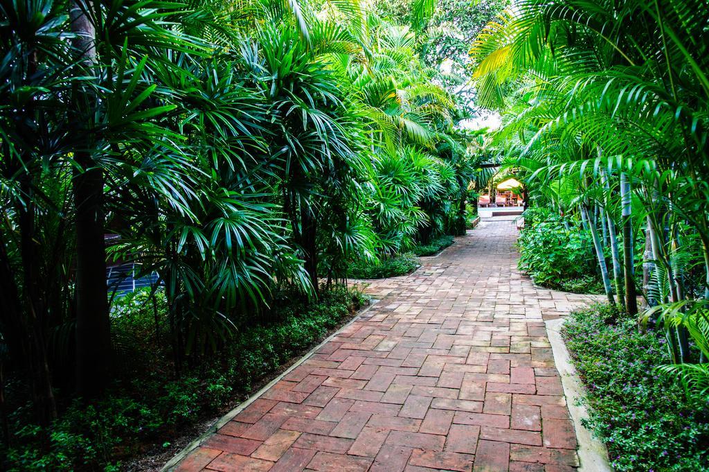 Baanpong Lodge San Kamphaeng Ngoại thất bức ảnh